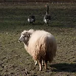 Le Domaine De Beaulieu 5*