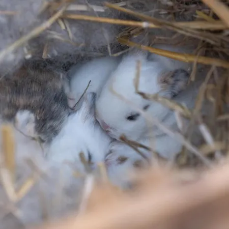 Le Domaine De Beaulieu Hotell Busnes