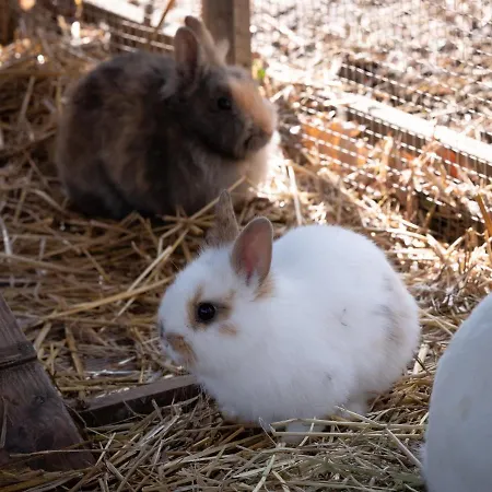 מלון Le Domaine De Beaulieu