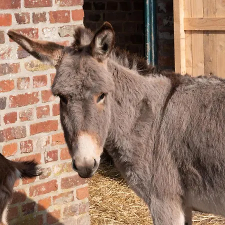 Hotell Le Domaine De Beaulieu