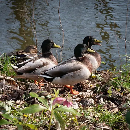 Hotel Le Domaine De Beaulieu