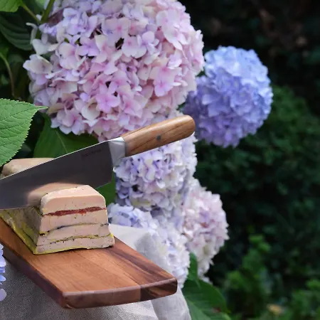 Hotell Le Domaine De Beaulieu 5*