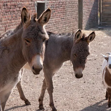 Le Domaine De Beaulieu