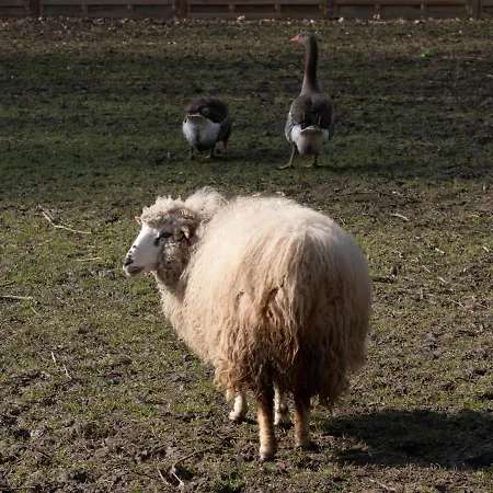 Le Domaine De Beaulieu 5*