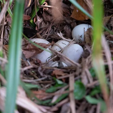 Le Domaine De Beaulieu Hotel Busnes