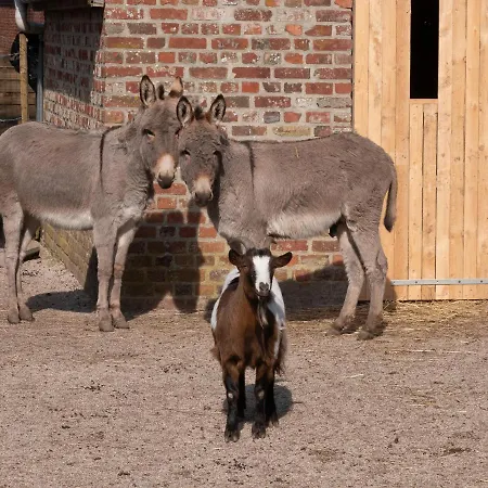 Le Domaine De Beaulieu מלון Busnes