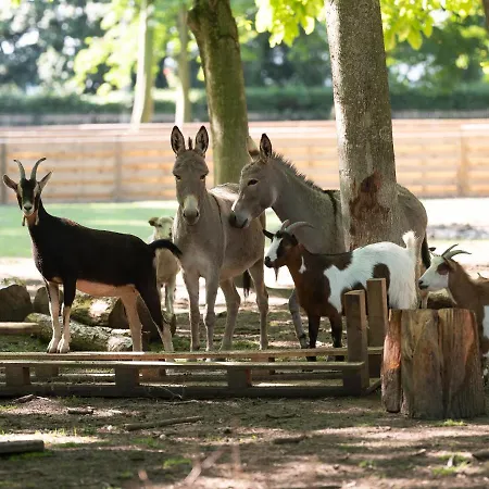 Le Domaine De Beaulieu 5*