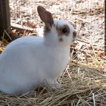 Le Domaine De Beaulieu Busnes