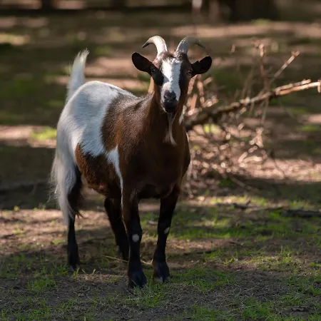 Le Domaine De Beaulieu Hotel