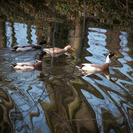 Hotell Le Domaine De Beaulieu