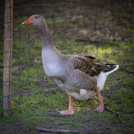 Le Domaine De Beaulieu Busnes