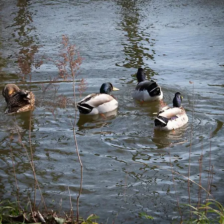 מלון Le Domaine De Beaulieu Busnes