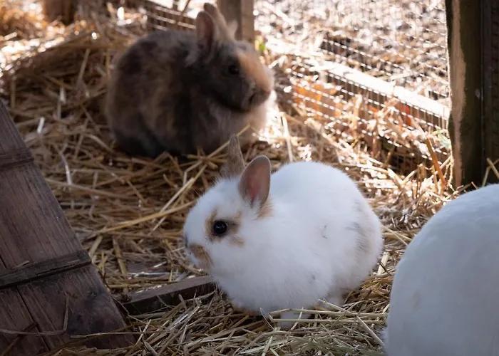 Hotel Le Domaine De Beaulieu