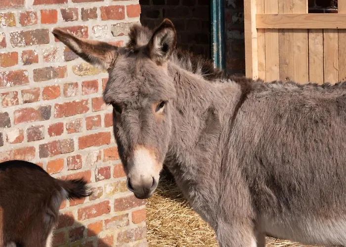 Hotel Le Domaine De Beaulieu