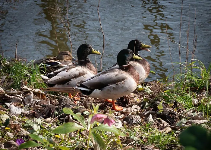 Hotel Le Domaine De Beaulieu