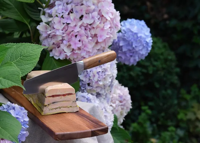 Hotel Le Domaine De Beaulieu 5*