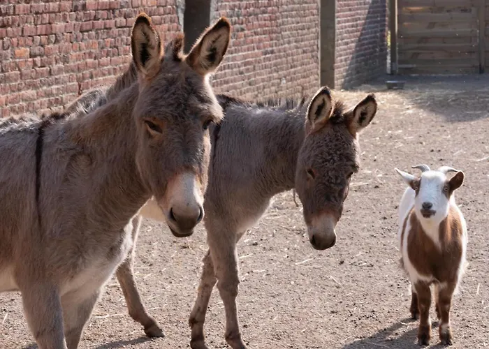 Le Domaine De Beaulieu