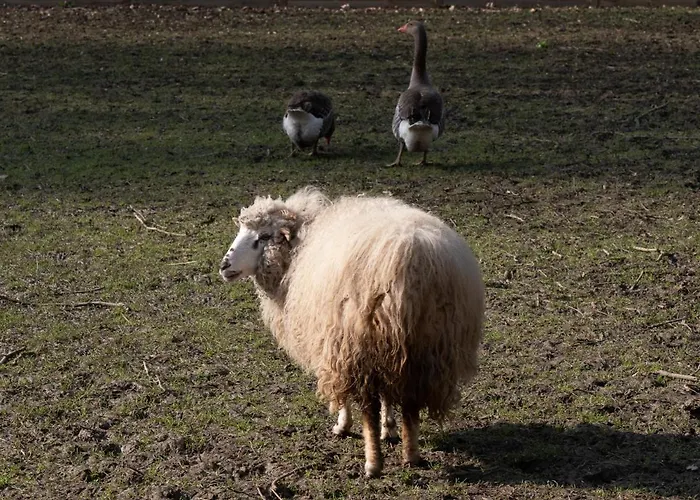 Le Domaine De Beaulieu 5*