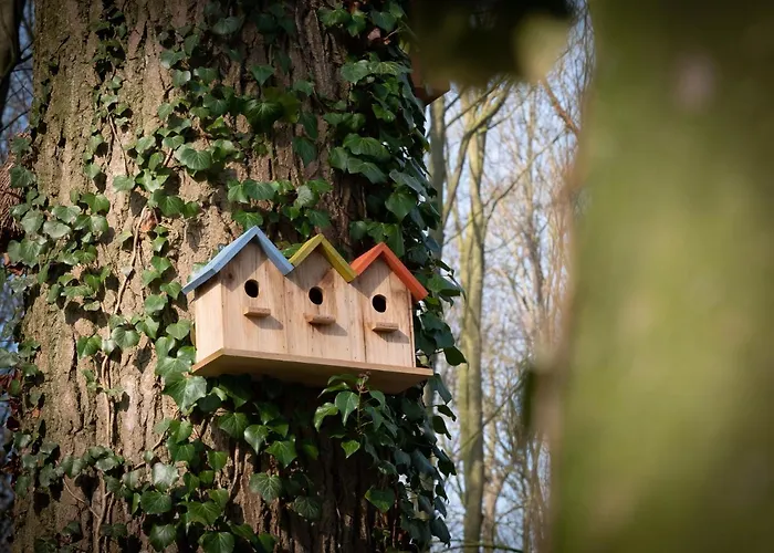 Hotel Le Château De Beaulieu Busnes