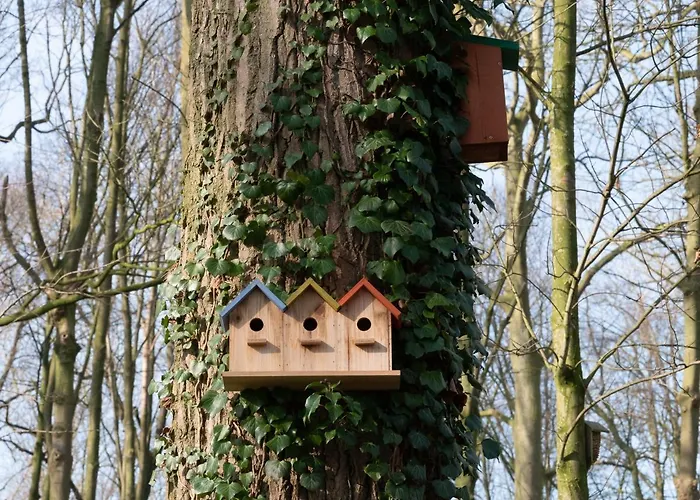 Hotel Le Domaine De Beaulieu 5*