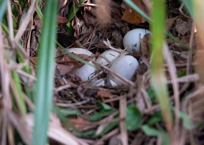 Le Château De Beaulieu Hotel Busnes