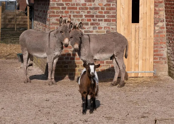 Le Domaine De Beaulieu Hotel Busnes