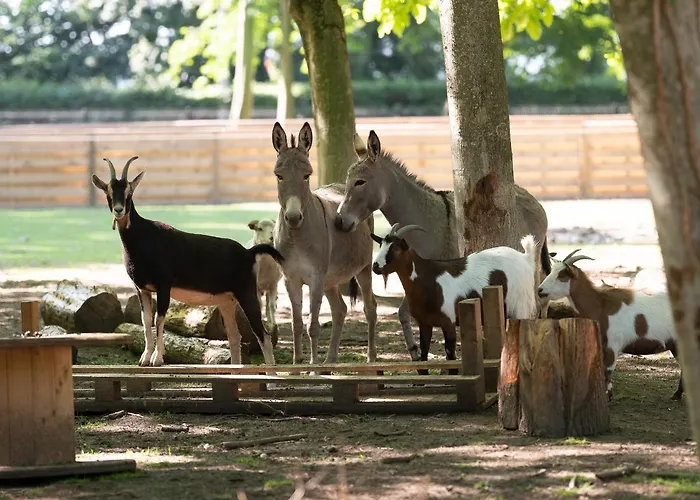 Le Château De Beaulieu 5*