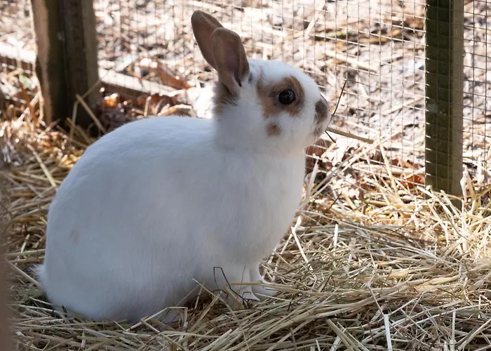 Le Château De Beaulieu Busnes
