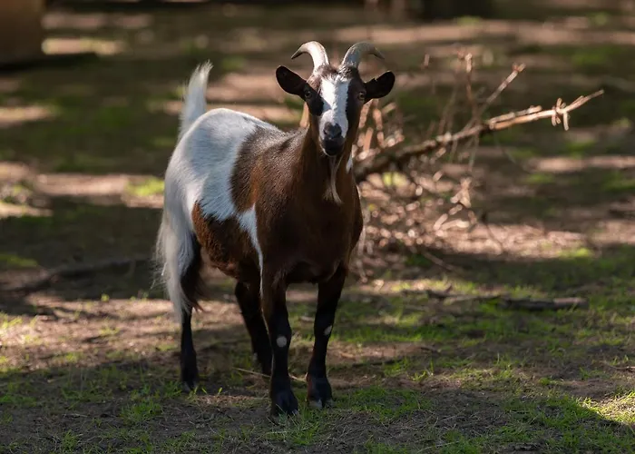 Le Domaine De Beaulieu Hotel