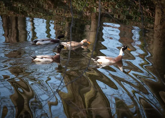 Hotel Le Domaine De Beaulieu