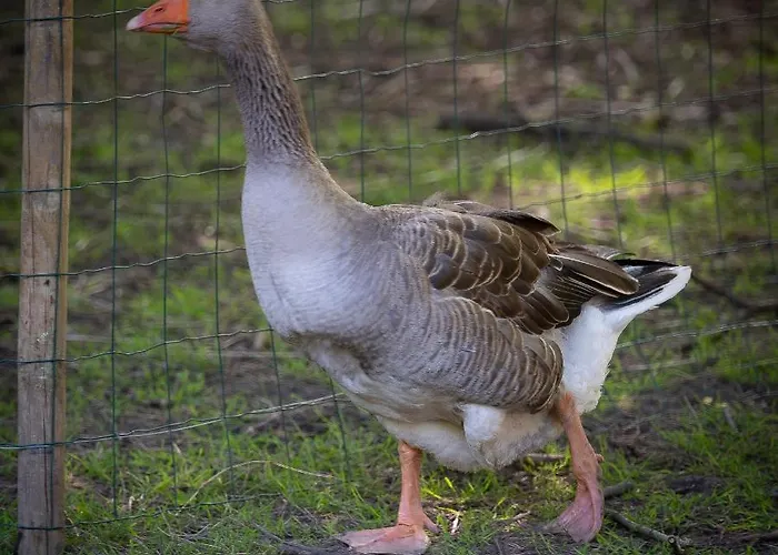 Le Domaine De Beaulieu Busnes
