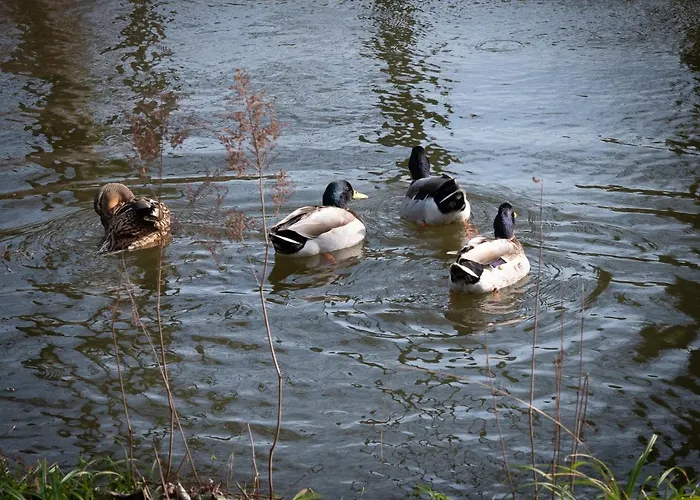 Hotel Le Domaine De Beaulieu Busnes