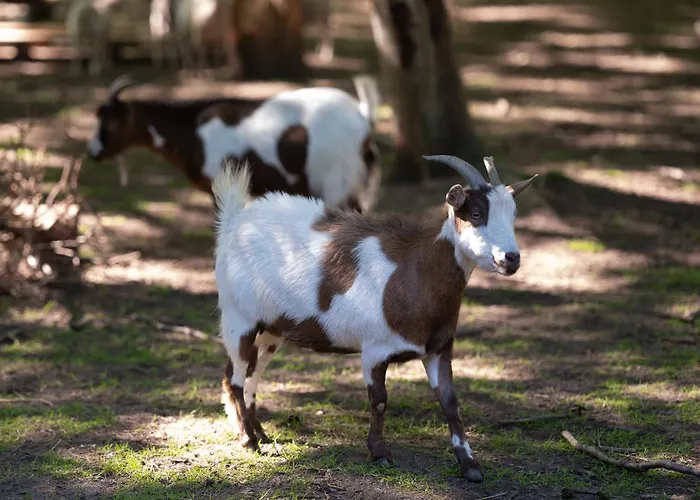 Le Château De Beaulieu Busnes